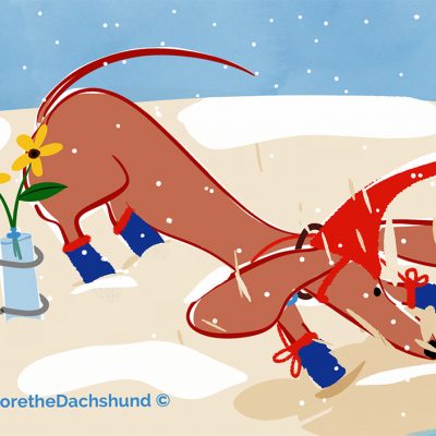 it’s snowing on the beach? i’m trying to dig a big enough hole to visit some friends that promised me better weather!