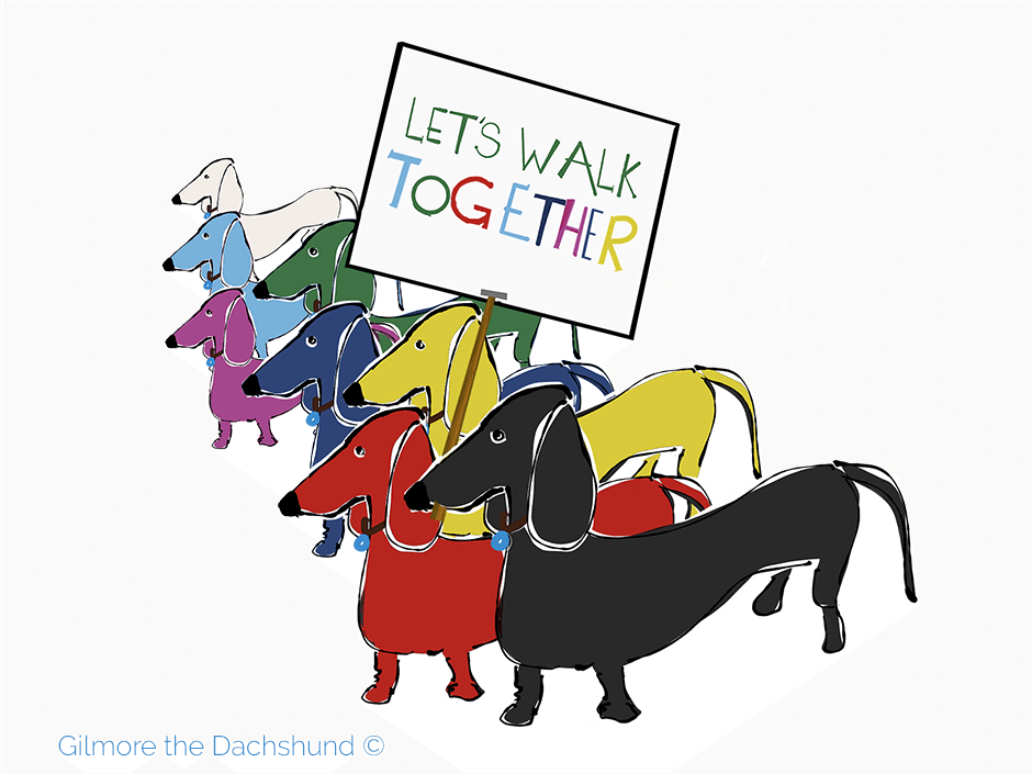 different colored dachshunds marching with a sign that reads let's walk together , black lives matter and lbgtq pride