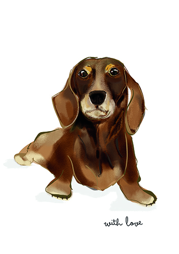 Pastel drawing of willow @wimblepoochies from Gilmore & Friends