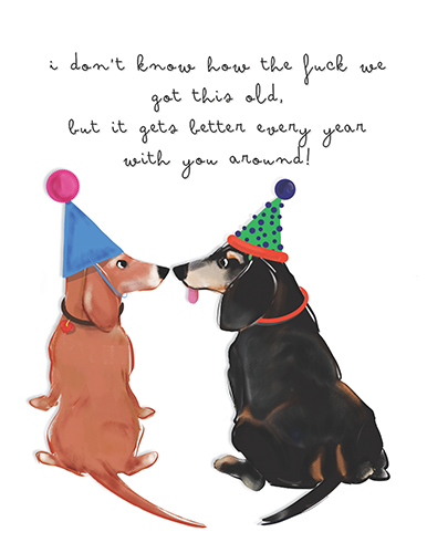 Gilmore & Friends Birthday card .two senior dachshsunds in birthday hats celebrating growing old together