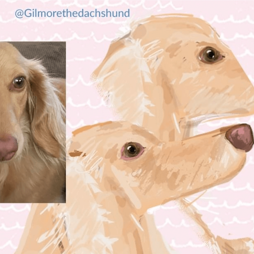 Gilmore and Friends drawing of a cream  dachshund