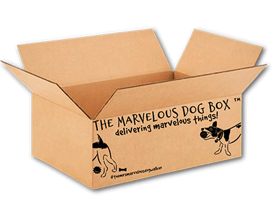 Gilmore & Friends card board box designed for the Mrs. Marvelous Dog Box ®