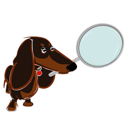 Gilmore & Friends cute black and tan dachshund holding a magnifying glass