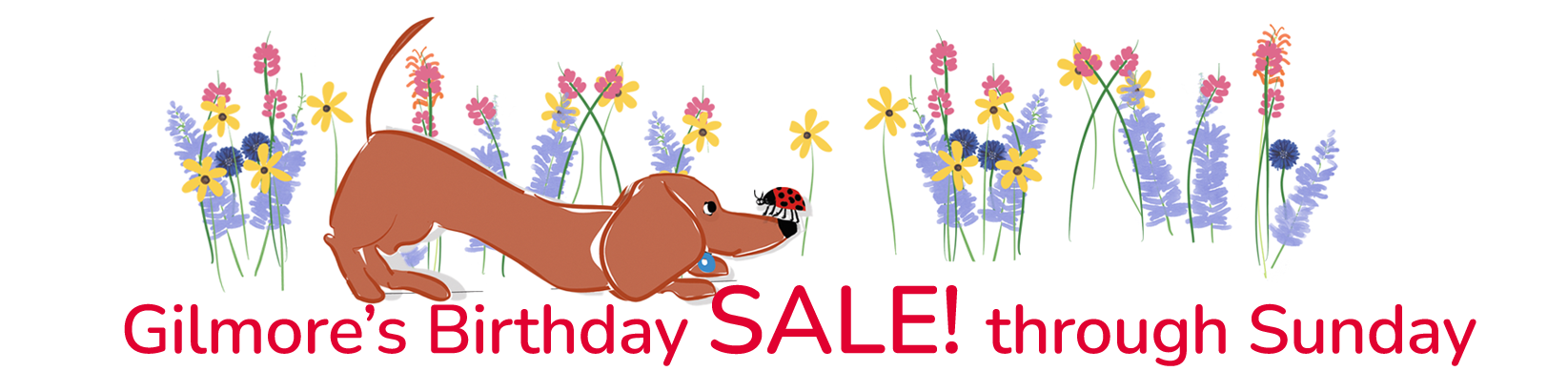 Gilmore & Friends drawing of a red dachshund sniffing and smelling the flowers with a ladybug on his nose