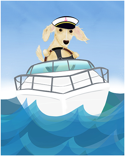 Gilmore & Friends drawing of an english cream long haired dachshund in a captains hat driving a motor boat
