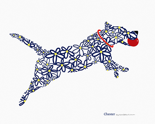 daisy drawing of a dog named Chet