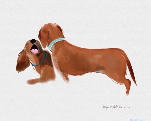 gilmore & friends pastel drawing of two dachshunds ready to play
