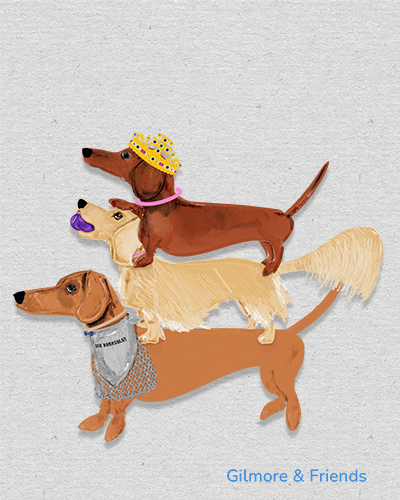 drawing of 3 dachshunds small red a cream longhair and a light red